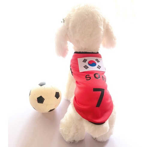강아지옷 TOP01