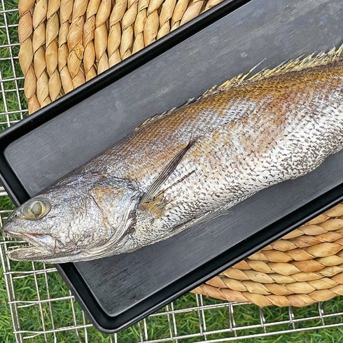 국내산 특대 반건조 민어 5미, 상세 설명 참조