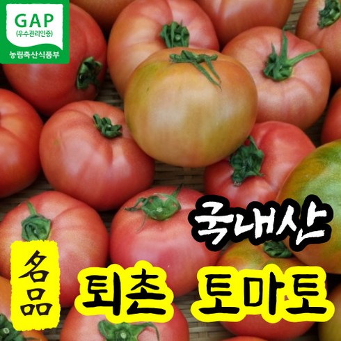 퇴촌토마토 - 국산 꿀 퇴촌토마토 광주 찰 완숙 벌수정 2kg 당일수확 명품 프리미엄 퇴촌 토마토 달달한 설탕 2키로 속이 꽉 찬 고품질 산지직송, 2kg (중~대과), 1개