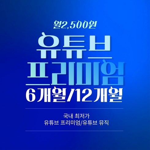 유튜브 프리미엄+유튜브 뮤직/월2 500원/6개월/8개월/12개월, 12개월 3만원