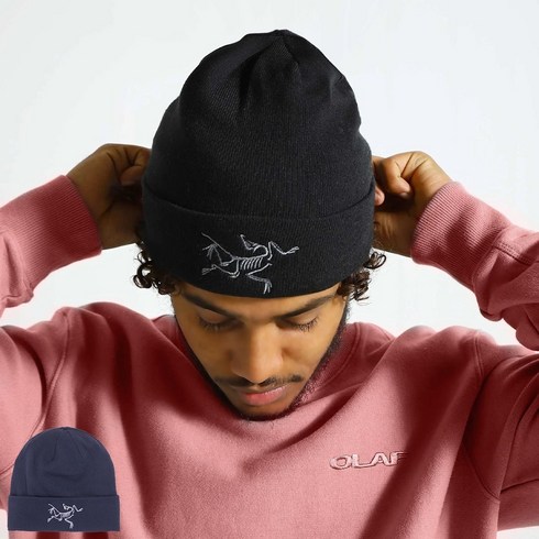 2023년 가성비 최고 아크테릭스스키 - 아크테릭스 EBED 엠브로이드 빅버드 비니 스포츠 토크 남녀공용