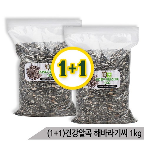 해바라기씨의모험 - (1+1)건강알곡 해바라기씨1Kg 소동물 앵무새 영양간식