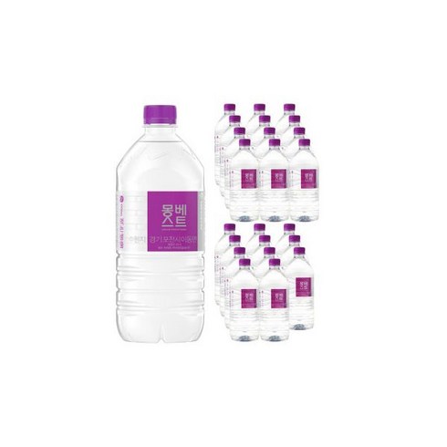 생수1l - 몽베스트 1L 생수전문배송, 24개