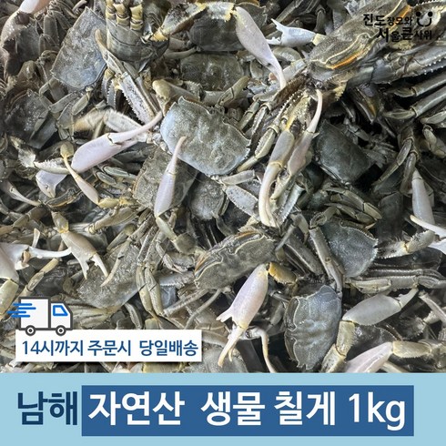 칠게 - 남해 자연산 생물 칠게 산지직송, 1개, 1kg