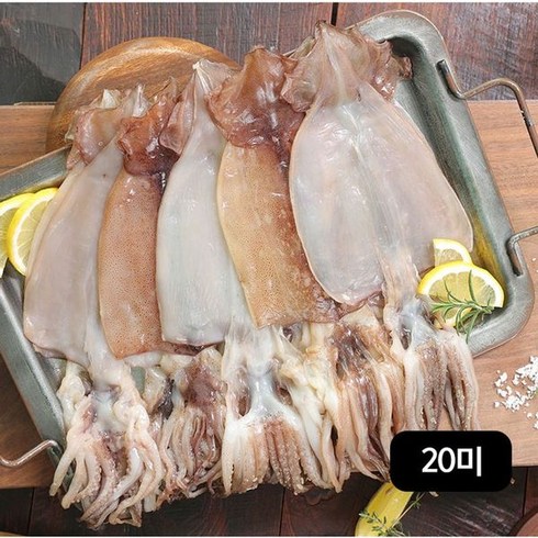 NS홈쇼핑 구룡포 반건조오징어140g(2미)X10팩 (총 20미 1.4kg)[33945177], 단일옵션