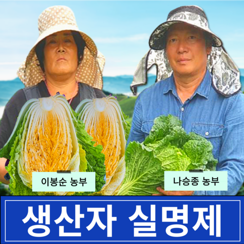 강주 - [최고급 강원도 고랭지 절임배추 산지직송] 국내산 소금 100% 프리미엄 황금 김장 절인배추 예약, 필수기재사항에 희망도착일을 적어주세요, 20kg, 1개