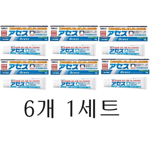 아세스치약 - 사토제약 아세스 Assessment 60g 6개 1세트