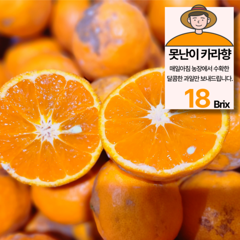 못난이특가 제주 달코미 카라향 감귤, 1개, 5kg