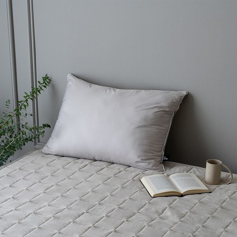 모던하우스 마이호텔 커버없이 사용하는 컬러 다운필 베개 베이지 50X70, 1개