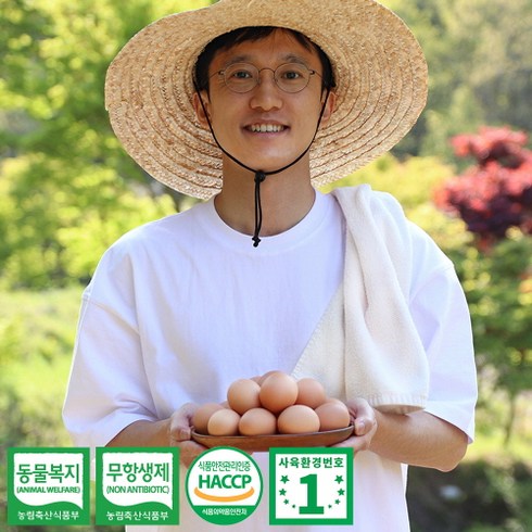 황동유정란 - 1번 계란 방목 자연방사 유정란 동물복지 무항생제 자유방목 사육환경번호1번 달걀, 60구, 1세트
