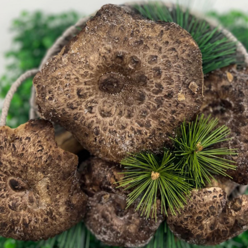 [경동버섯유통 송이 능이]자연산 능이버섯 / 냉동 1kg 냉동능이/특A급 A급 B급 C급 P급(육수용), 냉동능이 A급 1kg, 1개