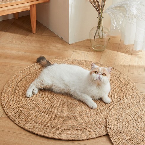 LINSHU 대형 펫 고양이 카펫 스크래쳐 편한 원형 매트