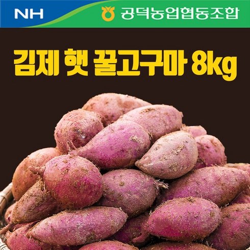 농협 농협 김제 꿀고구마 8kg(1박스), 단일옵션