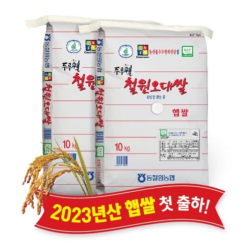 [당일도정] [동철원농협 직접운영] 2023년산 두루웰 철원오대쌀, 햅쌀 10kg x 2포