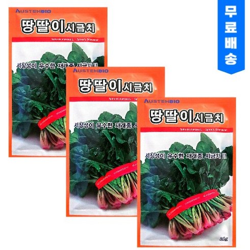 시금치씨앗 - 월동 땅딸이시금치 씨앗 (35g) 3개 겨울 재래종 종자 씨