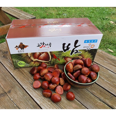 공주밤 간편식 군밤 특대알밤 생율공주밤 공주햇밤 알밤농장 영양간식 (특/대) 10Kg 8kg, 공주알밤 대8Kg, 1개