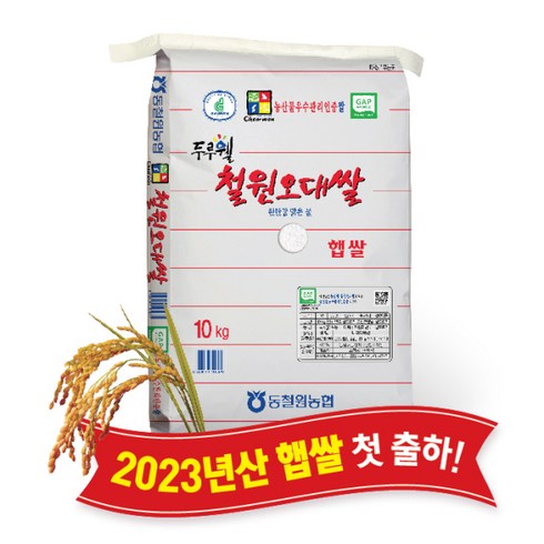 강원마트 (강원S)(당일도정) 2022년산 동철원농협 철원오대쌀 10kg 햅쌀, 1