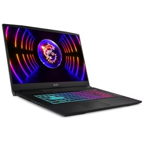 게임노트북 - MSI Sword GF76 17.3 코어i7 인텔 13세대 지포스 RTX 4060, 블랙, 1TB, 32GB, WIN11 Pro, GF76 B13VFK