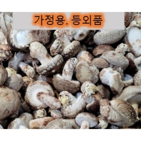 2023년 가성비 최고 다발방패버섯 포토 - 송화버섯 파지 등외품 1kg 파격행사 파지 아이스포장 가정용 부담없는 가격.캠핑 바베큐.젊은농부, 1개