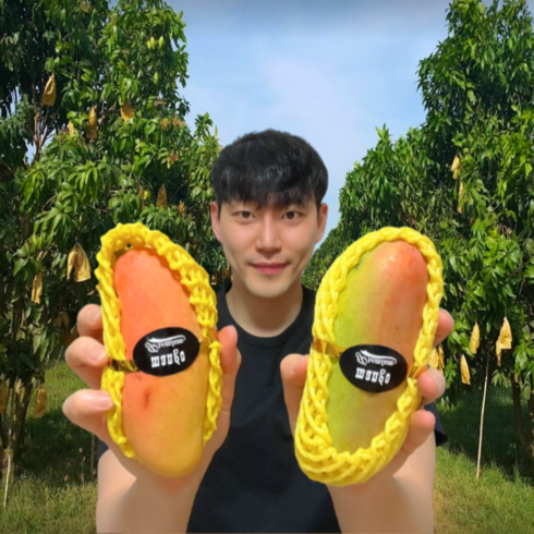 무지개망고 - 탐란다 태국 마하차녹 무지개 망고 레인보우 생 망고 2kg 4kg, 4kg (12과 내외), 1개