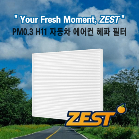 제스트 PM0.3 초미세먼지 자동차 에어컨 헤파 필터, 1개, MH-009