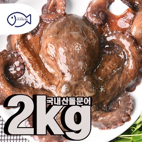 국내산 자연산 남해안 돌문어 2kg (정직한 은성수산), 1개