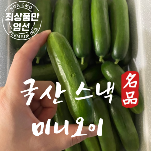 국내산 스낵오이 미니오이 피클오이 다이어트 오이 2kg, 스낵 미니오이 10개입(800g내외)