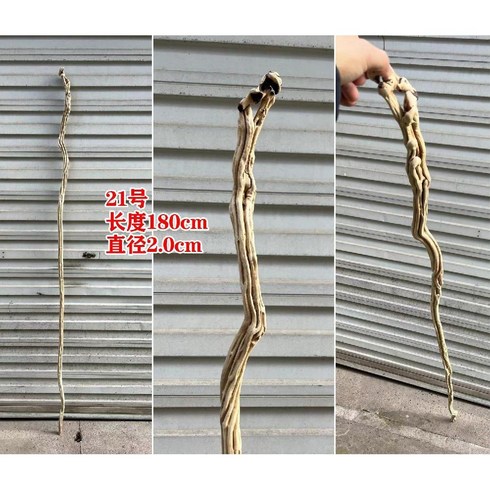 연수목지팡이 - 감태나무 연수목 장수 1800지팡이 장식 스님 도사 자연목 지팡이, 15