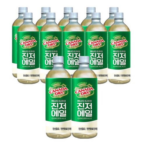 2023년 가성비 최고 진저에일 - 코카콜라 캐나다드라이 진저에일 450ML x12팻, 단품, 단일, 단품