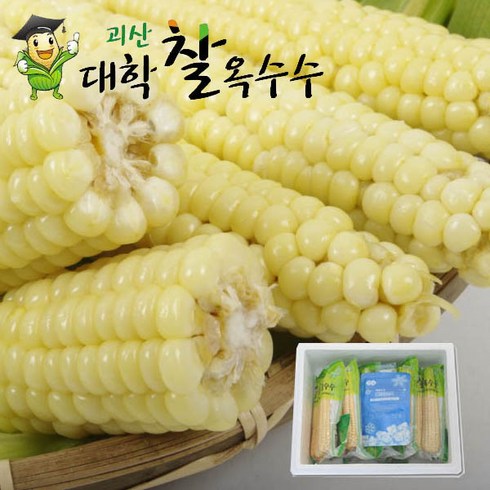 중독되는 맛 냉동괴산대학찰옥수수/찐거/생거 2가지, 30개/괴산대학찰옥수수/무선별/찐거