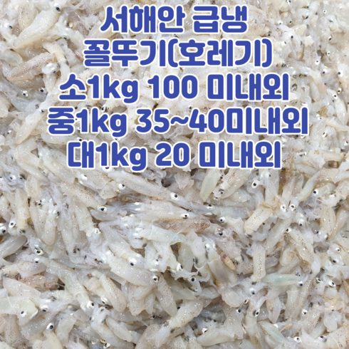 호래기 - 산지직송 서해안 급냉 꼴뚜기 호래기 횟감용 500g 1kg, 급냉꼴뚜기_소사이즈_1kg, 1개