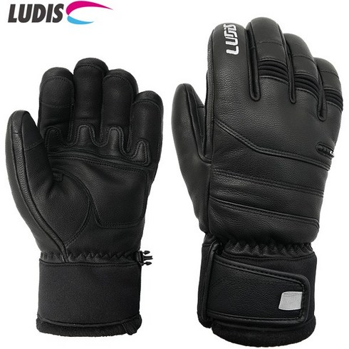 2023년 가성비 최고 루디스lcoat - 루디스 스키장갑 2223 L.COAT_BLACK