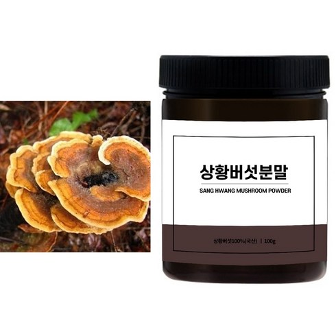 상황버섯균사체분말 - 국내산 상황버섯100%분말 100g, 1개