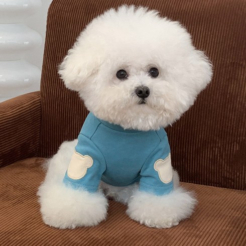 숑숑펫 애완동물 곰돌이 패치 큐티 심플 티셔츠, 1개, 블루
