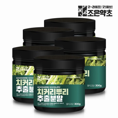 치커리분말 - 치커리 뿌리 추출물 100% 분말 가루 300g x 5, 5개