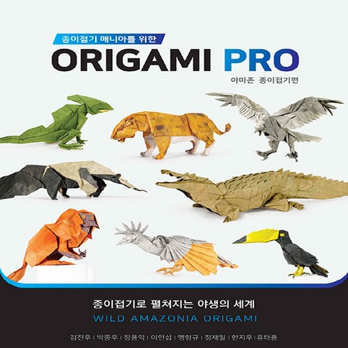 새책-스테이책터 [종이접기 매니아를 위한 Origami PRO-아마존 종이접기편] 종이접기 매니아를 위한 Origami PRO, 종이접기 매니아를 위한 Origami PRO-아마존 종