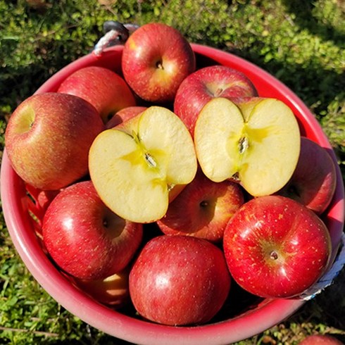 사과마루 꿀맛 부사 사과 3kg 5kg 10kg, 꿀맛 부사 사과 중과 10kg (30-37과), 1개