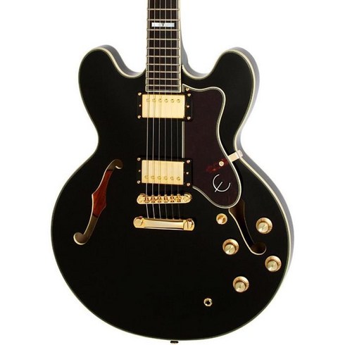 기타프로8 - Epiphone Sheraton-II Pro Semi-Hollow Electric Guitar Ebony, One Size, One Color