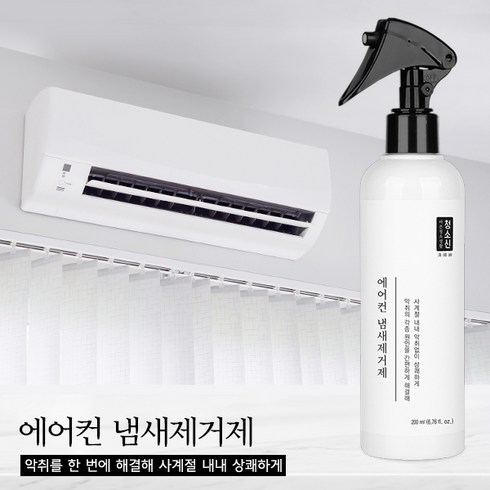 에어컨 냄새 - 청소신 에어컨 냄새제거제, 1개, 200ml