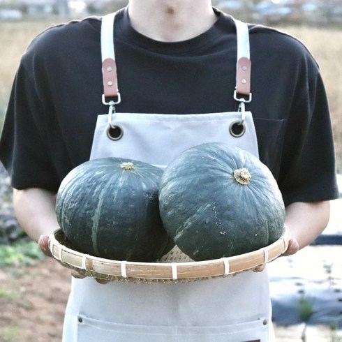 뉴질랜드 단호박, 1박스, 5kg