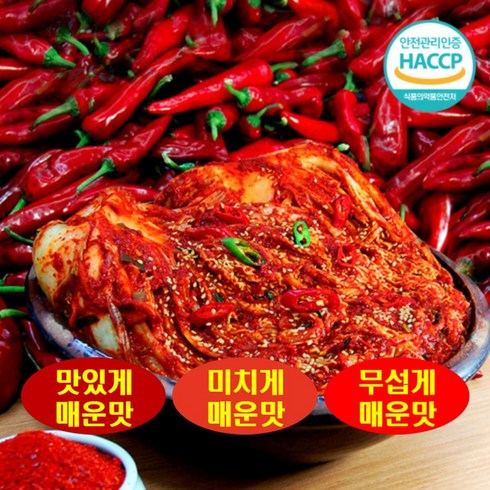 금치 - 국중석 맛있는 전라도 명품 매운맛 3단계 배추불김치 무섭게매운맛 1kg, 1개