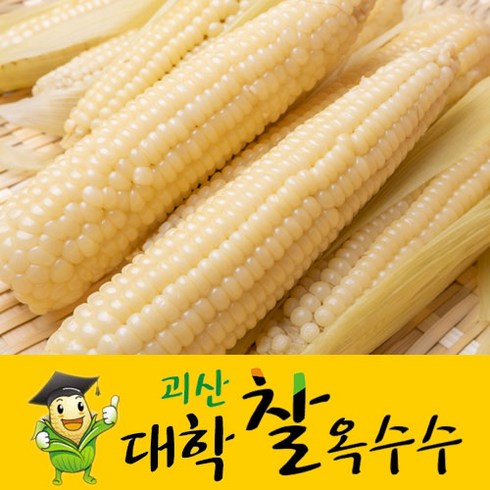 [산지 직송]충북괴산 삶은 냉동 대학찰옥수수, 5개, 찰옥수수 (17cm 이상; 3개/팩)