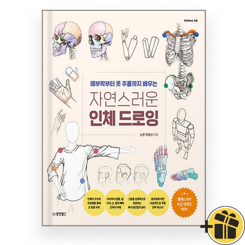 자연스러운 인체 드로잉