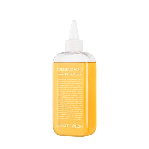 [공식] 스팀베이스 터메릭 스칼프 워터 스케일러 두피스케일링 탈모완화기능 250ml, 1개