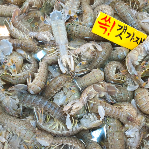 자연산 갯가재 털치 쏙 바닷가재 1kg, 1개, 자연산 갯가재 1kg (20미내외)