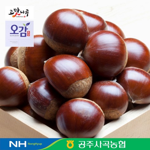 정안밤 - 전대표 농협선별 공주 밤 옥광밤 / 고맛나루, 2kg, 1박스