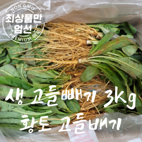 고들빼기제철 - 여수 황토밭 생 고들빼기 꼬들빼기, 3kg, 1박스