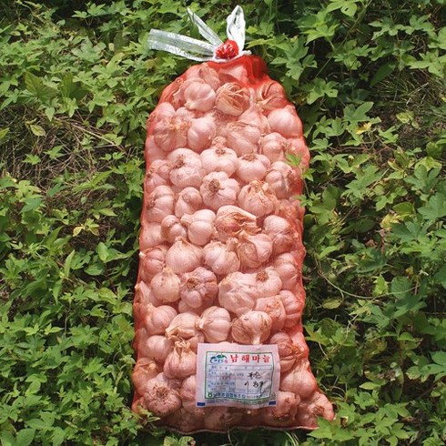 해남막걸리 - 헷마늘 남해마늘 저장용, 1개, 5kg(상품)