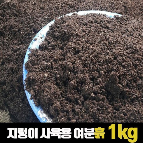 지렁이키우기 TOP01