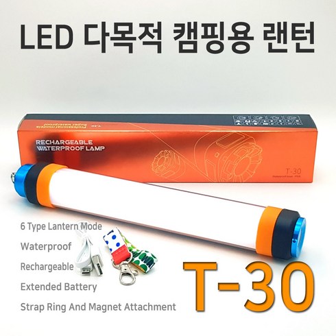 t30 TOP01